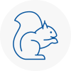 Darlington Rodent Removals